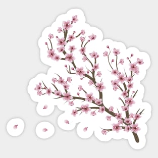 Cherry Blossom Branch Sticker